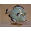 Image 1 : Porcelain Tropical Fish #893603