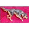 Image 1 : VIENNA Bronze SETTER Black & Tan Hunting Dog #906765