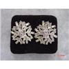Image 1 : CHAREL Clear Sparkling Rhinestone Earrings #928702