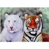 Majestic Siberian TIGERS Inside Painted SNUFF #930450