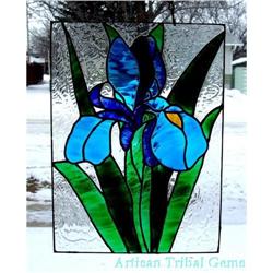 Vibrant BLUE Iris  FREE Shipping #930876