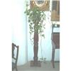 Image 1 : TRI143W Elegant Plant Stand #932149
