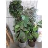 Image 1 : 5 ASSORTED ARTIFICIAL PLANTS