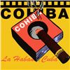 Image 2 : Cohiba by Steve Kaufman (1960-2010)