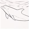 Image 2 : Dolphin by Wyland Original