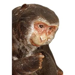 Old Japanese Hirado Kutani Color Monkey Saru  #894243