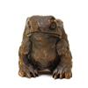 Image 1 : 19C Chinese Export Bamboo Toad Frog Sg #894276