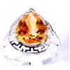 Image 1 : Cirtrine Ring #950743