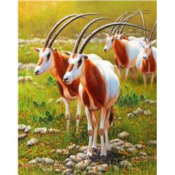 CYNTHIE FISHER: "Desert Dwellers" - Original Oil Painting by Cynthie Fisher