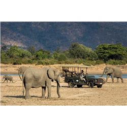 J/B ADVENTURES: 5-Day Photo Safari for Two Guests at the Award-Winning Mfuwe Lodge in Zambia