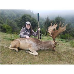NEWZEALANDHUNTING.COM: 5-Day Fallow Deer Hunt for Two Hunters in New Zealand - Includes Trophy Fees