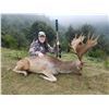 Image 1 : NEWZEALANDHUNTING.COM: 5-Day Fallow Deer Hunt for Two Hunters in New Zealand - Includes Trophy Fees
