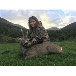 HUNT TRIP SPAIN: 4-Day Roe Deer Hunt for Two Hunters and Two Non-Hunters in Spain