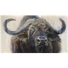 Image 1 : DAVID FREDERICK RILEY: Original Cape Buffalo Oil Painting by David Frederick Riley