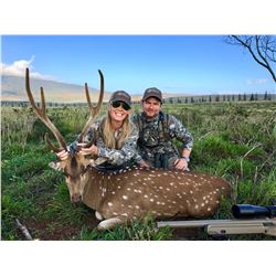 HIGH ADVENTURE: 2-Day/3-Night Axis Deer Hunt for Two Hunters in Lanai, Hawaii - Includes Trophy Fees
