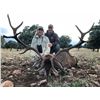 Image 1 : CAZATUR: 4-Day Spanish Red Deer OR European Fallow Deer Hunt for One Hunter and One Non-Hunter