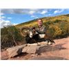 Image 2 : 5-Day European Mouflon Sheep Hunt for One (1) Hunter and One (1) Non-Hunter