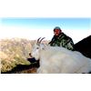 Image 1 : 2021 Utah North Slope/South Slope, High Uintas Central Mountain Goat Conservation Permit, Any Legal 