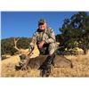 Image 2 : 3-Day California Black Tail Deer Management Hunt for One (1) Hunter