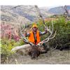 Image 1 : 2021 Utah La Sal, La Sal Mtns Bull Elk Conservation Permit, Multi Season