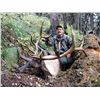 Image 1 : MONTANA ELK HUNT for Two (2) Hunters
