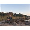 Image 2 : 6-Day South Africa Sable, Crocodile & Impala Hunt for Two (2) Hunters