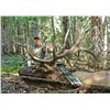 Image 2 : 2021 Utah San Juan Bull Elk Conservation Permit Any Legal Weapon (Rifle)