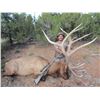 Image 2 : 13-Day Elk Hunt for One (1) Hunter on the Acoma Pueblo