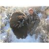 Image 2 : 2021 Wyoming Bison License