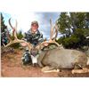 Image 1 : 2021 Utah Buck Deer San Juan, Elk Ridge Conservation Permit, Hunter’s Choice