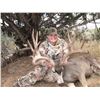 Image 2 : 2021 Utah Paunsaugunt Buck Deer Conservation Permit, Muzzleloader