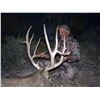 Image 2 : 2021 Utah Henry Mtns Buck Deer (Muzzleloader) Conservation Permit