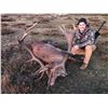 Image 2 : 3-Day Iberian Red Stag Hunt for One (1) Hunter and One (1) Non-Hunter