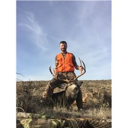 2021 Washington Mule Deer Permit