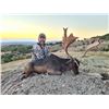 Image 2 : 5-Day Macedonia Fallow Deer & Wild Boar Hunt for One (1) Hunter and One (1) Non-Hunter