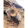 Image 1 : 2021 Utah Nine Mile, Gray Canyon Rocky Mountain Bighorn Sheep Conservation Permit, Any Legal weapon