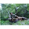 Image 2 : 2021 Multi Zone California Elk Permit