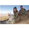 Image 2 : 2021 Utah Statewide Mountain Goat Conservation Permit