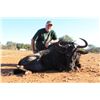 Image 2 : 5-Day Black Wildebeast, Blue Wildebeast, Red Heartebeast & Blesbuck Hunt in South Africa for One (1)