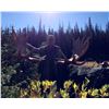 Image 2 : 2021 Wyoming Governor's Moose Tag