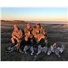 Image 1 : SAFARI UNLIMITED: 3-Day/3-Night Sandhill Crane Hunt for Eight Hunters in West Texas