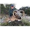 Image 1 : TEXAS DIVIDE: 2-Day Exotic Species Hunt for One Hunter in Texas - Includes Trophy Fees
