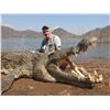 Image 1 : MASHAMBANZOU: 7-Day Crocodile Hunt for One Hunter and One Non-Hunter in Mozambique - Includes Trophy