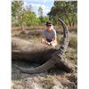 Image 1 : GREG PENNICOTT: 5-Day Water Buffalo Hunt for One Hunter at Mary River Station in Northern Territory,