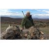 Image 1 : SAFARI INTERNATIONAL: 5-Day Wolf Hunt for One Hunter and One Non-Hunter in Macedonia - Includes Trop