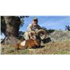 Image 1 : NACHO ARIAS: 8-Day Red Deer and Mouflon Sheep Hunt for One Hunter in Spain - Includes Trophy Fees