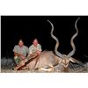 Image 1 : MOLOPO KALAHARI: 9-Day Plains Game Hunt for Two Hunters and Two Non-Hunters in South Africa