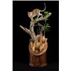 Image 1 : BRUSH COUNTRY/JULIAN&SONS: Life-Size Leopard Taxidermy Mount and Julian & Sons Black Walnut Base