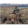Image 1 : PROFIHUNT: 9-Day Kamchatka Brown Bear Hunt for One Hunter in Russia - Includes Any Size Bear