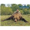 Image 3 : PROFIHUNT: 9-Day Kamchatka Brown Bear Hunt for One Hunter in Russia - Includes Any Size Bear